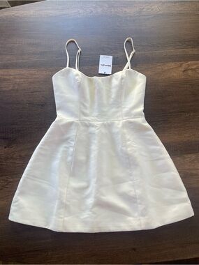 Showpo Carolina Mini Dress